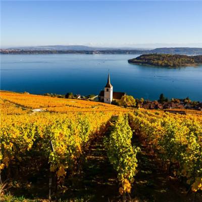 澳门黄金城app下载