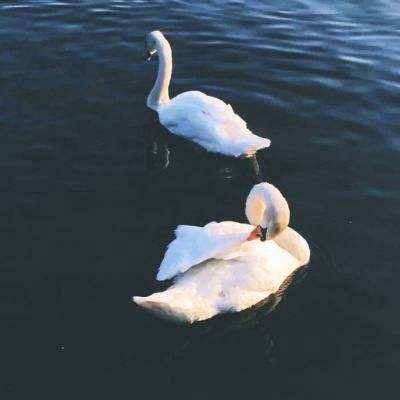 永乐国际手机app下载