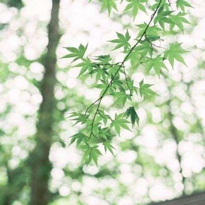 澳门·新甫京娱乐娱城