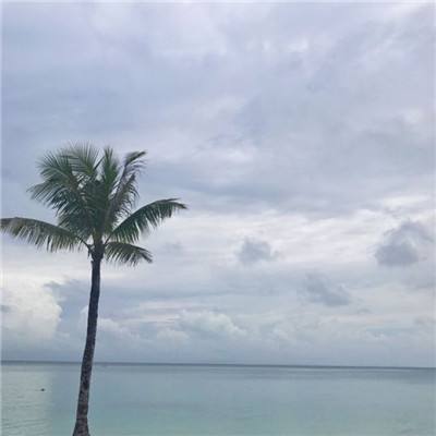 一分钟pk10赛车截图