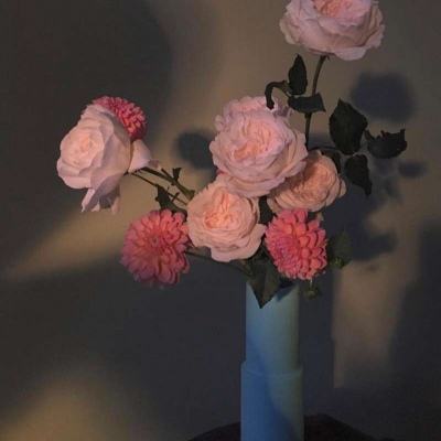 炼爱手游免费下载