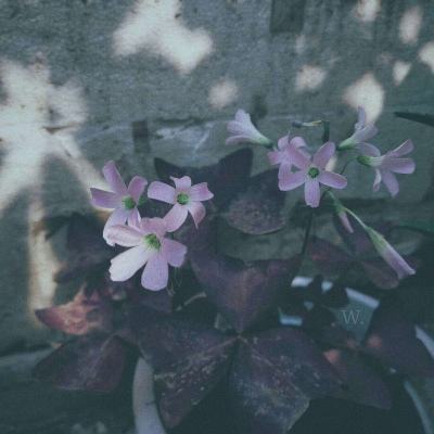 kaiyun体育全站手机app下载